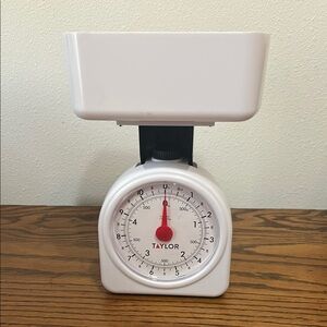 Taylor Kitchen Food Scale and Bowl Weight Diet